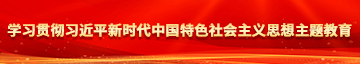 www.爆操白虎妹妹黄片视频学习贯彻习近平新时代中国特色社会主义思想主题教育